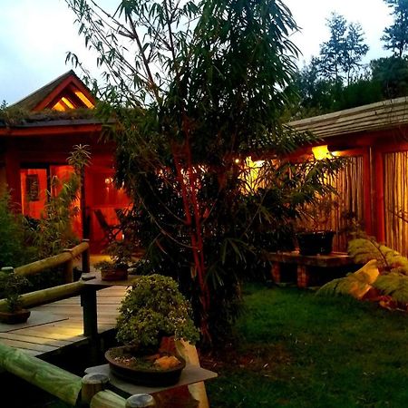Paradise Private Zen Studios Κνύσνα Εξωτερικό φωτογραφία