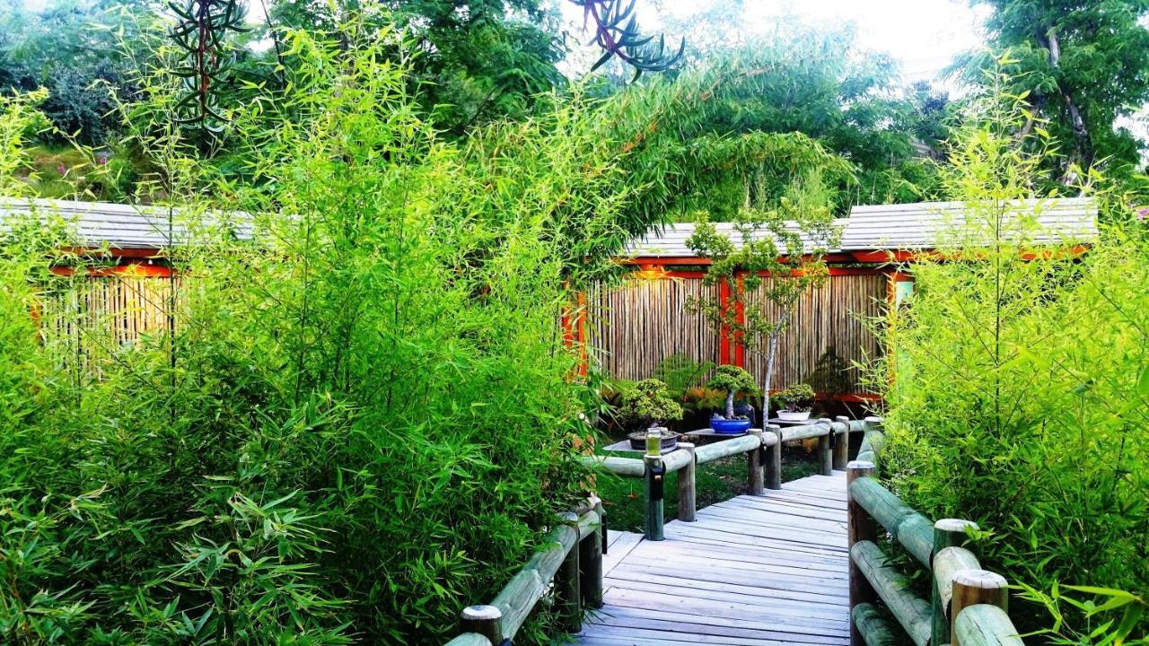 Paradise Private Zen Studios Κνύσνα Εξωτερικό φωτογραφία